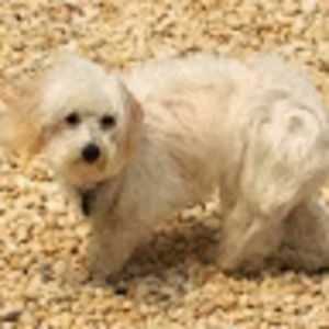 Meet your Posher, Michele